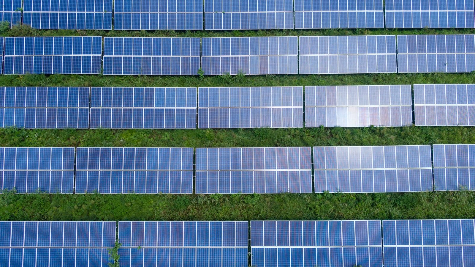 Aerial view of rows of ground-mounted solar panels between strips of grass